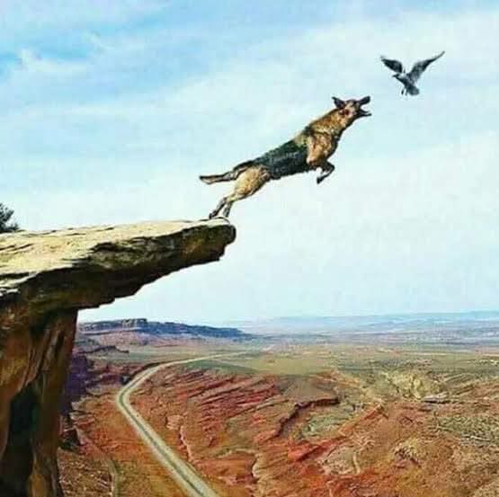 Hırs, çok güçlü bir zehirdir ve en çok sahibini zehirler, en çok sahibine zarar verir.

yücelbinici