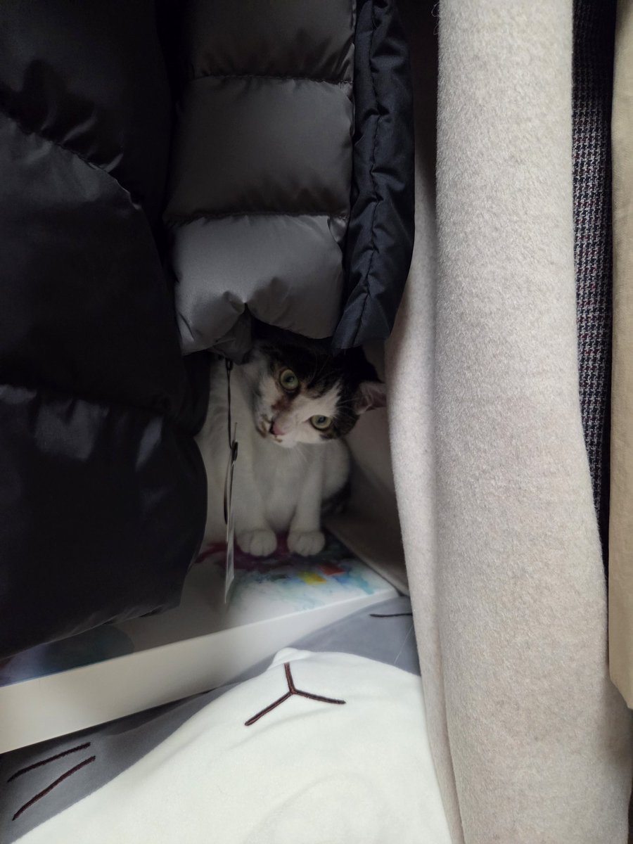 BoreumChu's tweet photo. 오랜만에 온 김에 사고뭉치 츄츄😼 https://t.co/H4BFBBPUdL