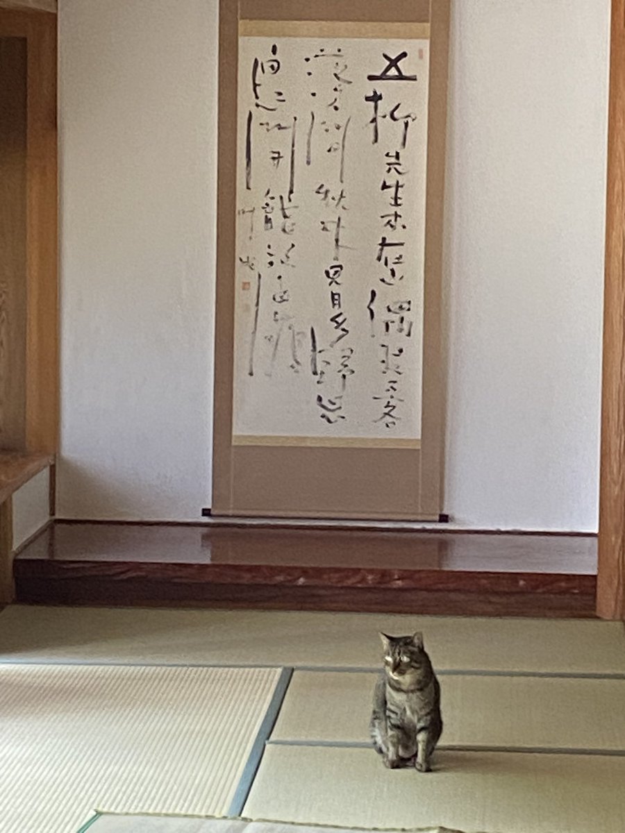 oonakaseitai's tweet photo. こんにちは大仲整体七月の予定です。

今月は10日、24日（大阪）、30日（広島）を休ませていただきます。

『二宮整体　大仲塾』整体セミナーは20日10時~大阪指導室で行います。

整体で骨盤を閉めて、体を整え、暑い時期を過ごしていきましょう。 https://t.co/P7aHPYIhDz