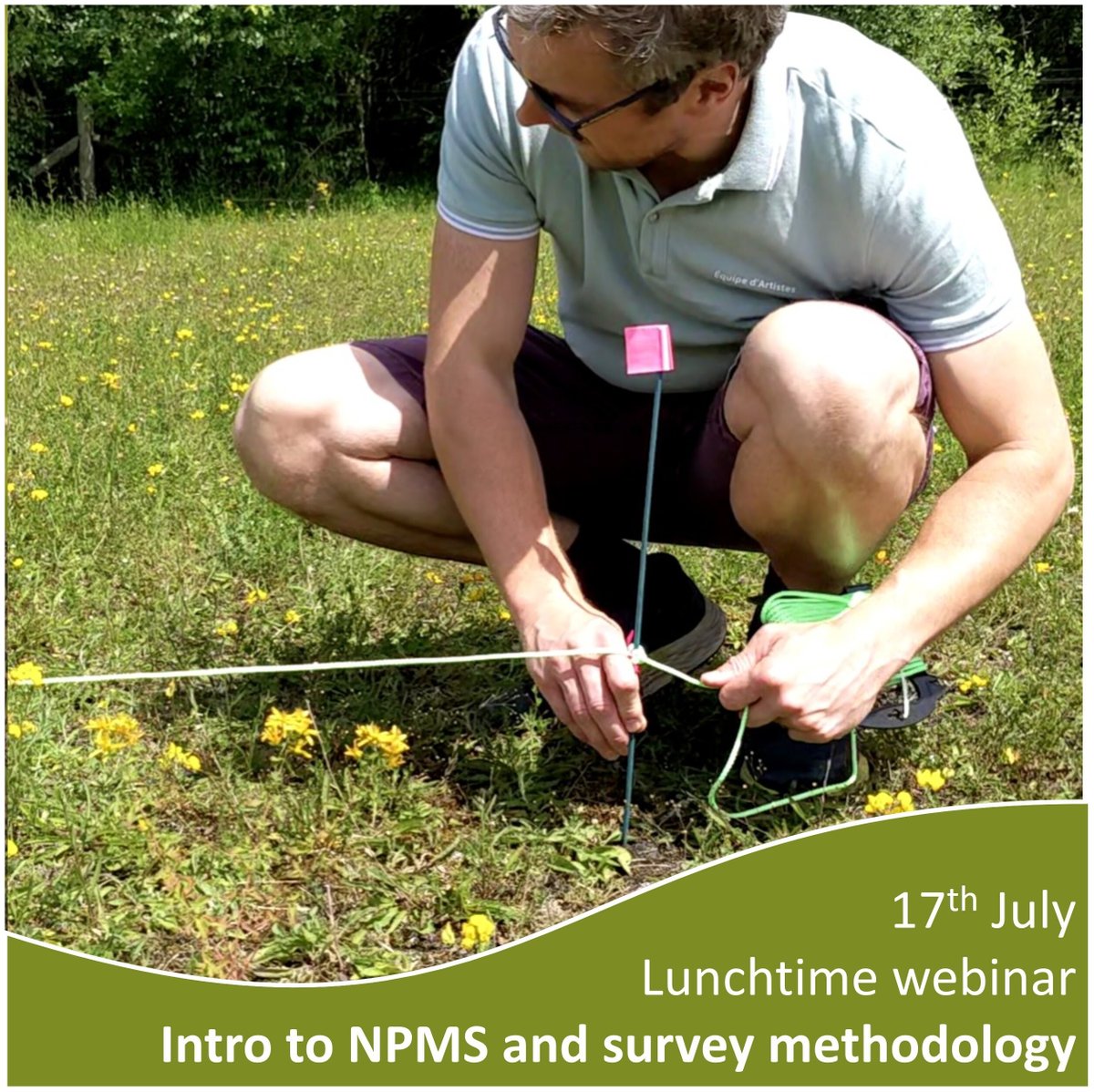 National Plant Monitoring Scheme (@thenpms) on Twitter photo Webinar - Intro to NPMS Survey & Methodology Thurs 17th July 12.30 - 2pm. Taken on an NPMS square and keen to get started? This webinar is for you. Intro session to NPMS for new volunteers & anyone interested in joining in. Visit for more info & to book ow.ly/8vl950WbAJ8 Webinar - Intro to NPMS Survey & Methodology Thurs 17th July 12.30 - 2pm. Taken on an NPMS square and keen to get started? This webinar is for you. Intro session to NPMS for new volunteers & anyone interested in joining in. Visit for more info & to book ow.ly/8vl950WbAJ8
