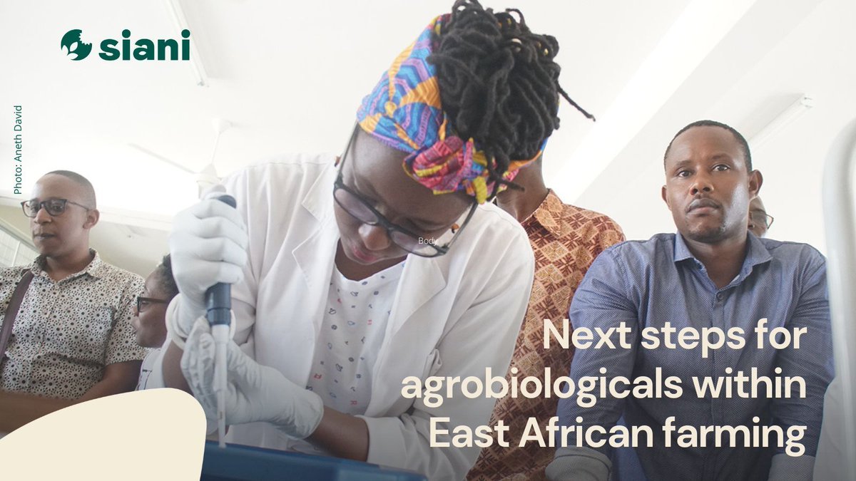 SIANIAgri's tweet image. NEWS STORY |
East Africa’s #agrobiologicals sector is becoming stronger and better organised, partly thanks to SIANI’s expert group Agrobiologicals in East Africa led by @SEI_Africa.
Learn more: buff.ly/bBB8DQn