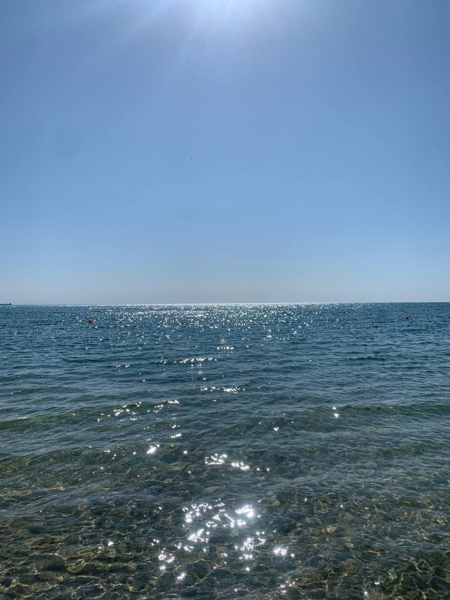 Катерина Галич tweet media