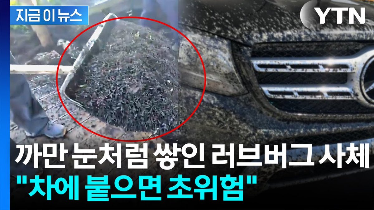 예전그달&Moon아님 tweet media