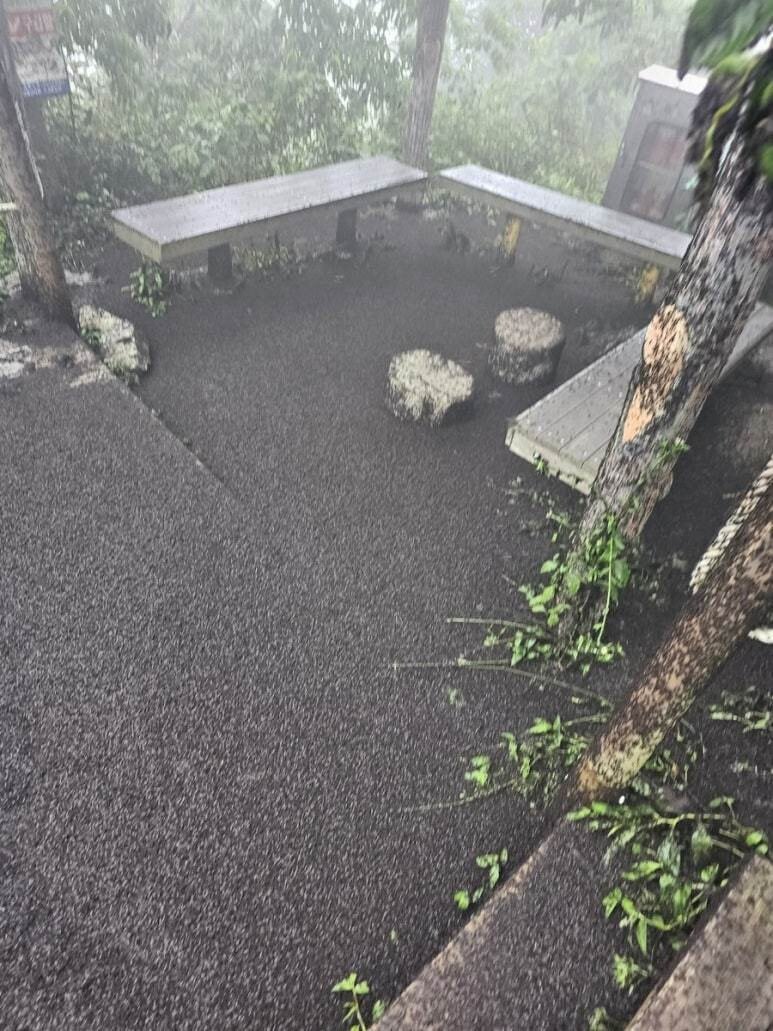 예전그달&Moon아님 tweet media