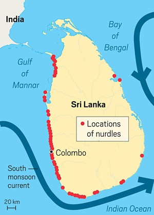 BartGonnissen's tweet image. 22/x This was the largest polymer fire and spill ever. The current is drifting the pellets along the coast of Sri Lanka. Fish and turtles are choking on the pellets. Fishing has been at a standstill for years.