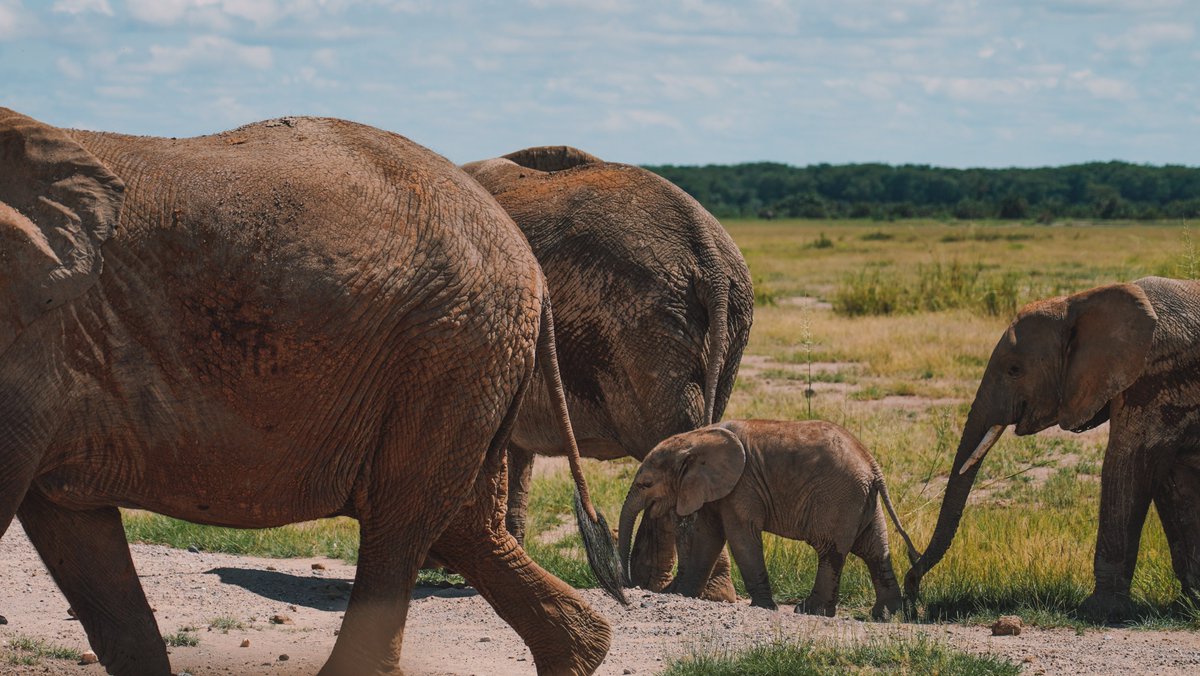 Mariamsekh tweet media