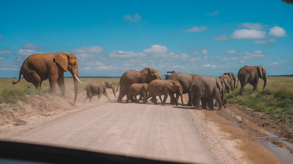 Mariamsekh tweet media