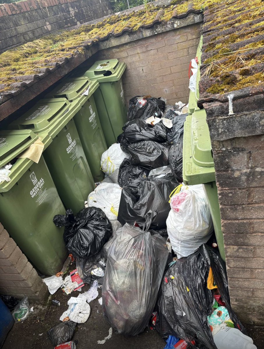 FultonKimberley's tweet photo. @GlasgowCC 
@Shettleston_SNP 
@ShettlestonHA 
Why should we have to live like this ??? 

24/06/25
02/07/25 https://t.co/wlcy3uu57S