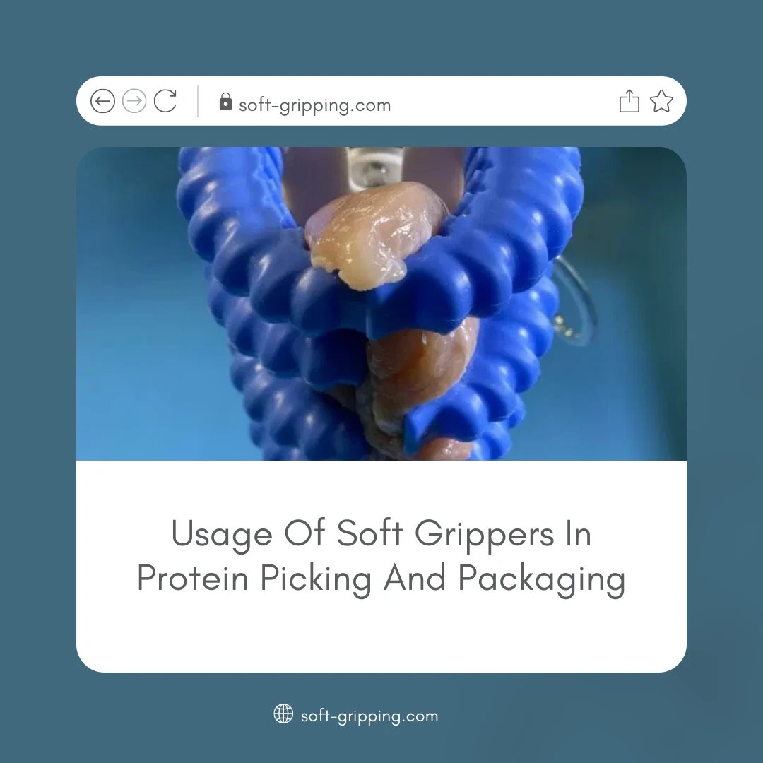 SoftGripping tweet media