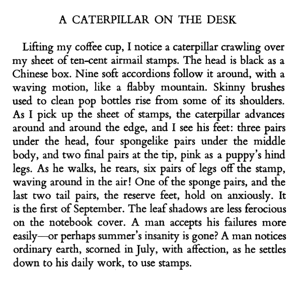 RebeccaLeek_'s tweet photo. A caterpillar, stamps, and September wonderings about July. This is by Robert Bly. Enjoy. 🐛🌿#poemaday #pauseforpoetry https://t.co/2prvY9og47