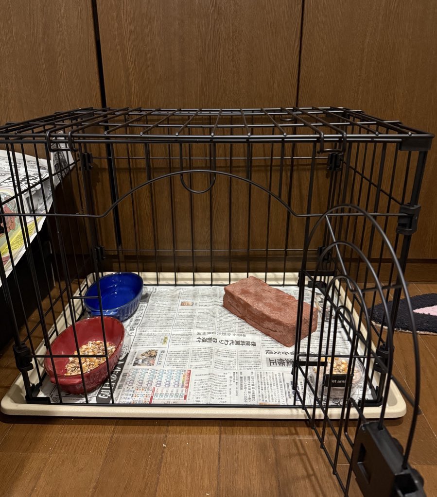 ぽっぽのお家α
ゲージの隙間から顔出しまくるで
柔らかい網目のやつを付けたよ