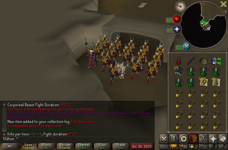 oldton_rs's tweet image. #12 Pet dark core - 2,635 KC