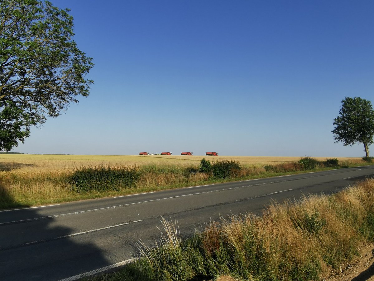 A_Beauc's tweet image. Hier, en début de soirée, les #pois de conserve étaient battus et partaient direction la Belgique, de quoi profiter de la vue et de l'odeur😋
Les fanes vont maintenant pouvoir être fanées et mises en bottes pour l'alimentation des #vaches 🐄
@Fragritwittos 
#FrAgTw