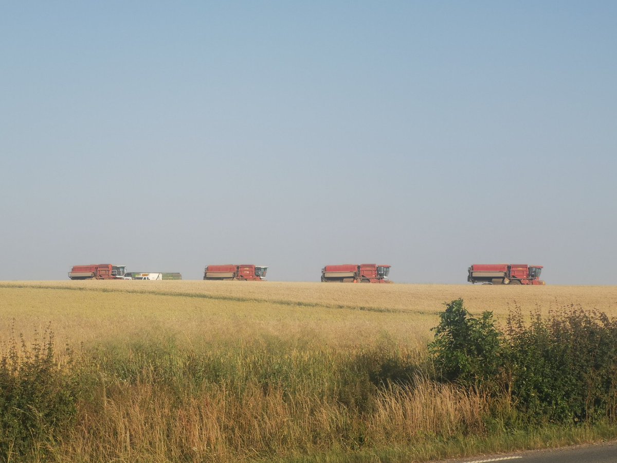 A_Beauc's tweet image. Hier, en début de soirée, les #pois de conserve étaient battus et partaient direction la Belgique, de quoi profiter de la vue et de l'odeur😋
Les fanes vont maintenant pouvoir être fanées et mises en bottes pour l'alimentation des #vaches 🐄
@Fragritwittos 
#FrAgTw