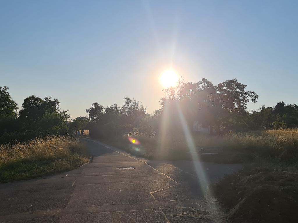 🌅 Happy ☀️ day for you! 🍀😘

💭 Carry ☀️ in your ❤️
and nonsense in your head. 😉

📸 sunset on the fields 🌤