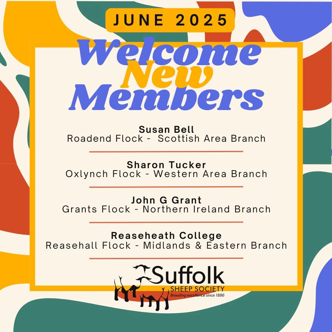 📰 Susan Bell and I recently did a thing and have taken the plunge to the dark side of the sheep world....introducing us as ⭐️Roadend Suffolks⭐️ (Flock Code: HN25) 📰