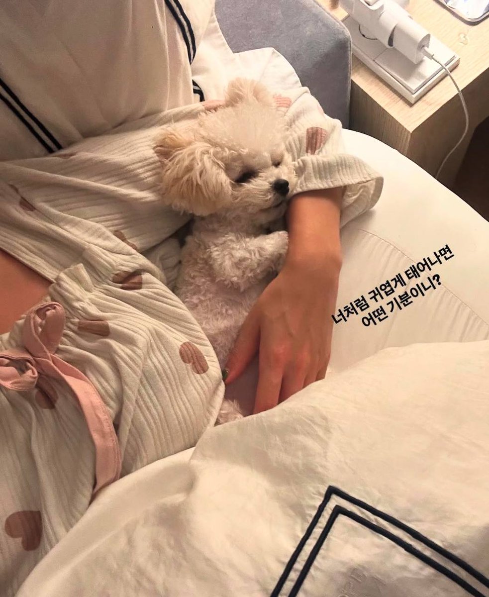 #거제 #옥포동 소중해💛