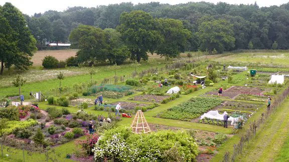 Der Küchengarten in Westerstede: Hier kann man gemeinsam mit anderen Menschen gärtnern und Biolebensmittel anbauen. Egal, ob Jung oder Alt, ob Neuling mit wenig Zeit oder versierte Gartenspezialistin. Alle sind willkommen. ardmediathek.de/video/Y3JpZDov…