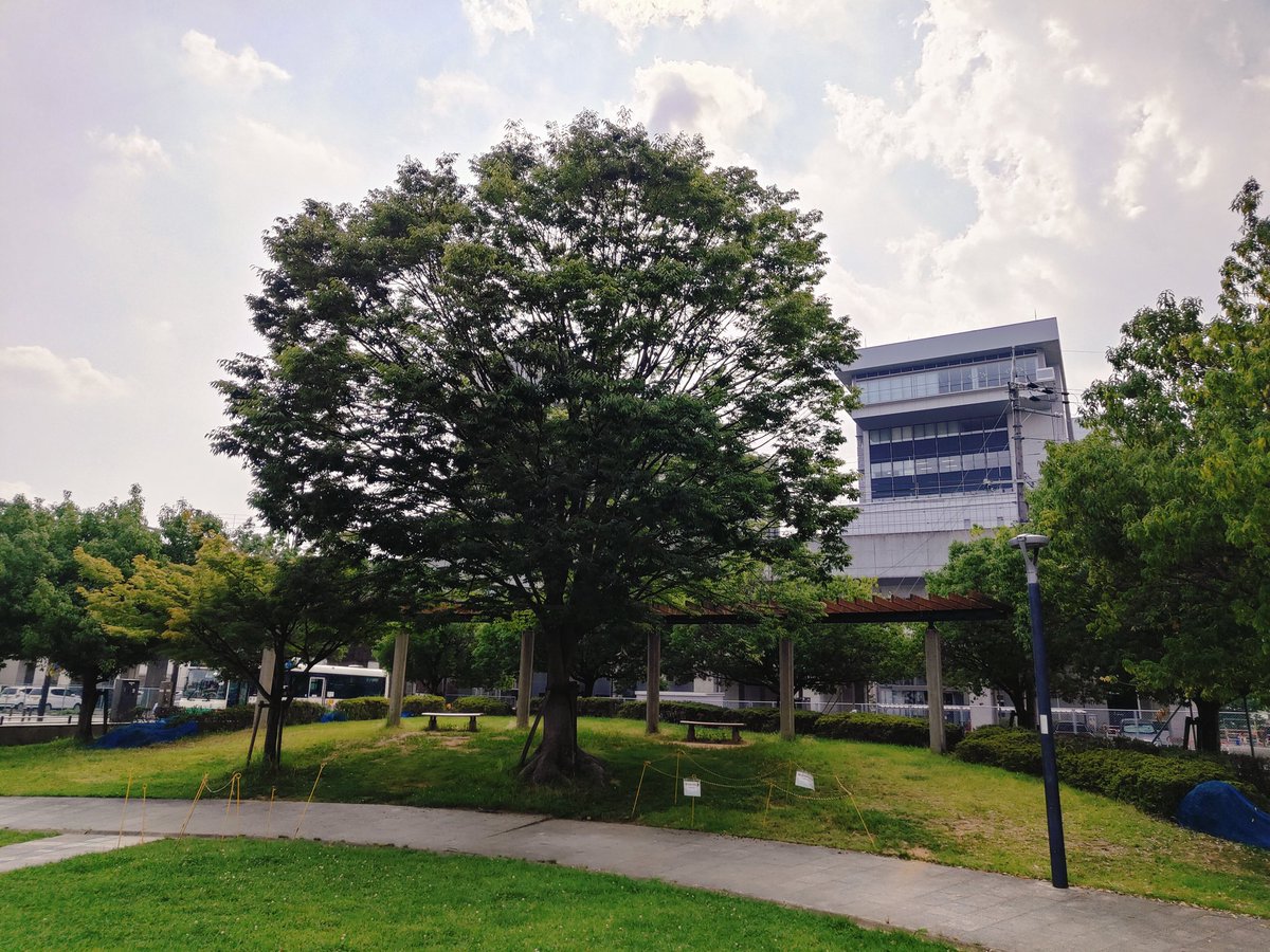 家族会、無事終了しました〜
かなり多くの方にご出席いただきました！

次回は8月6日です！

なお当事者会は7月16日です

#ＫＡなら
#はぐくみセンター
#鹿