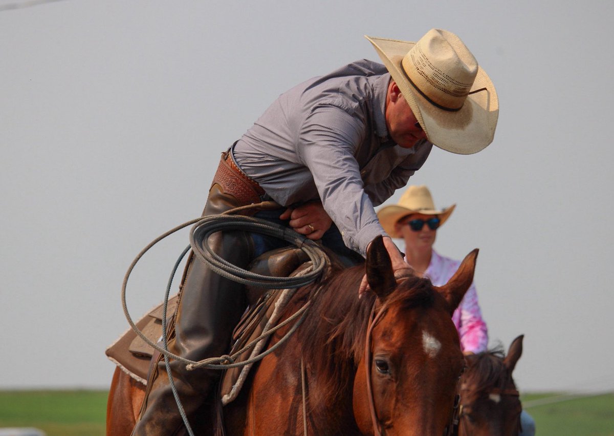 Airdrie Ag Society tweet media