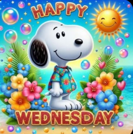 Karen99556's tweet photo. Good morning everyone have a fantastic day 💕💕 https://t.co/TfqmQrmexU