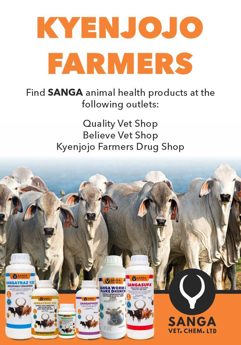 sangavetchem's tweet image. Retailer Outlets
KENJONJO
QUALITY VET SHOP, BELIEVE VET SHOP, KYENJOJO FARMERS DRUG SHOP