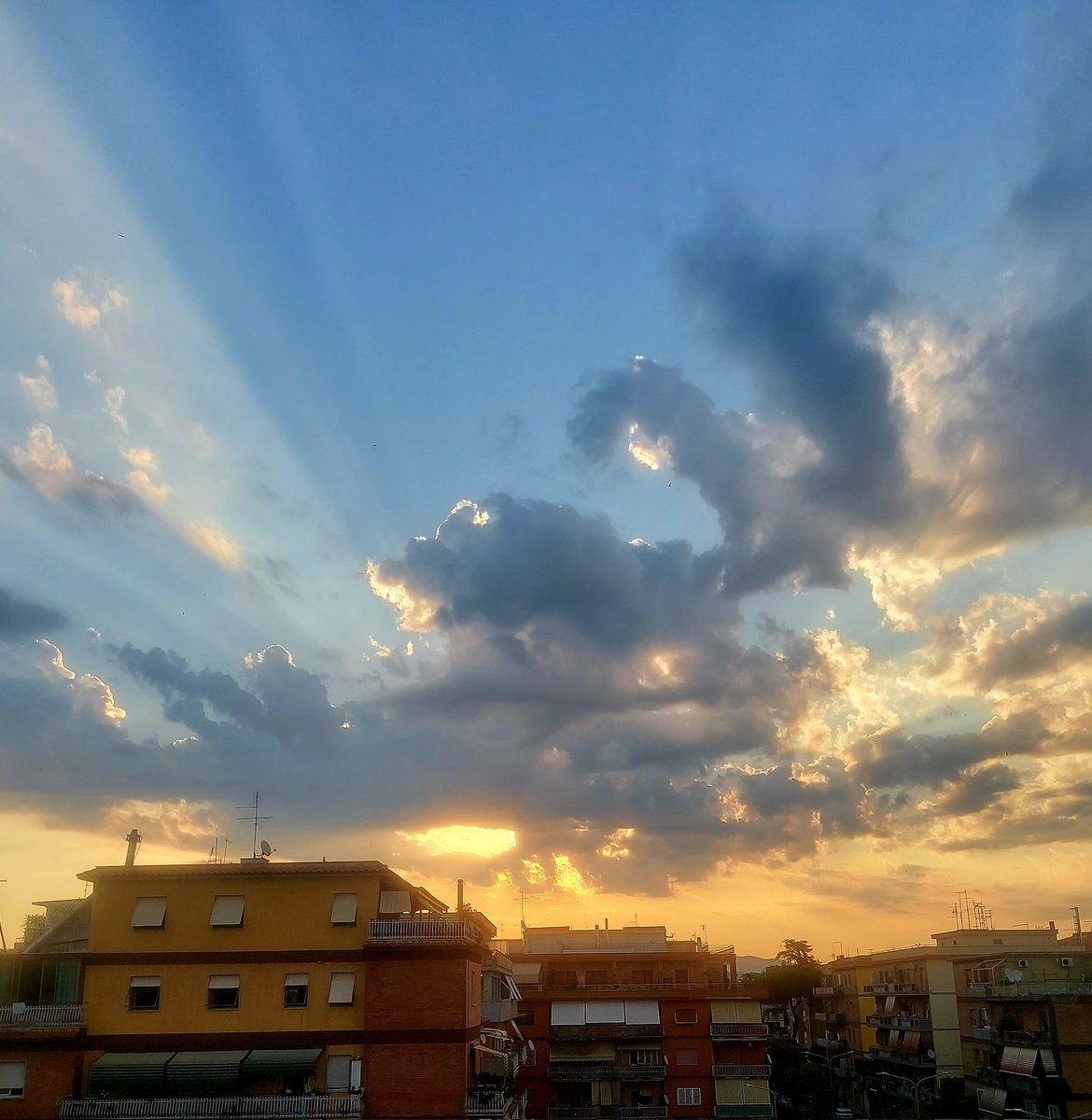 Maria Lea tweet media