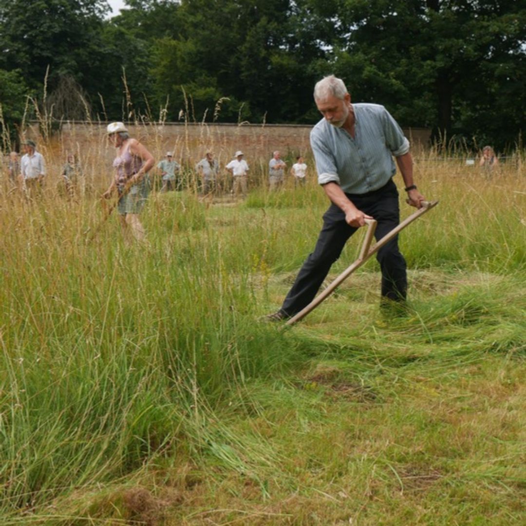CambridgePPF's tweet photo. 🌾🔥 Wandlebury Scything Festival 🔥🌾
19–20 July, 10am–4pm, Wandlebury Country Park
Sat: Learn to scythe (£75, 18+) – book: https://t.co/58Vggfg2QA
Sun: FREE festival, demos, kids' fun, champs & Grim Strimmer!
#thingstodoincambridge https://t.co/ufI0DzRbSq