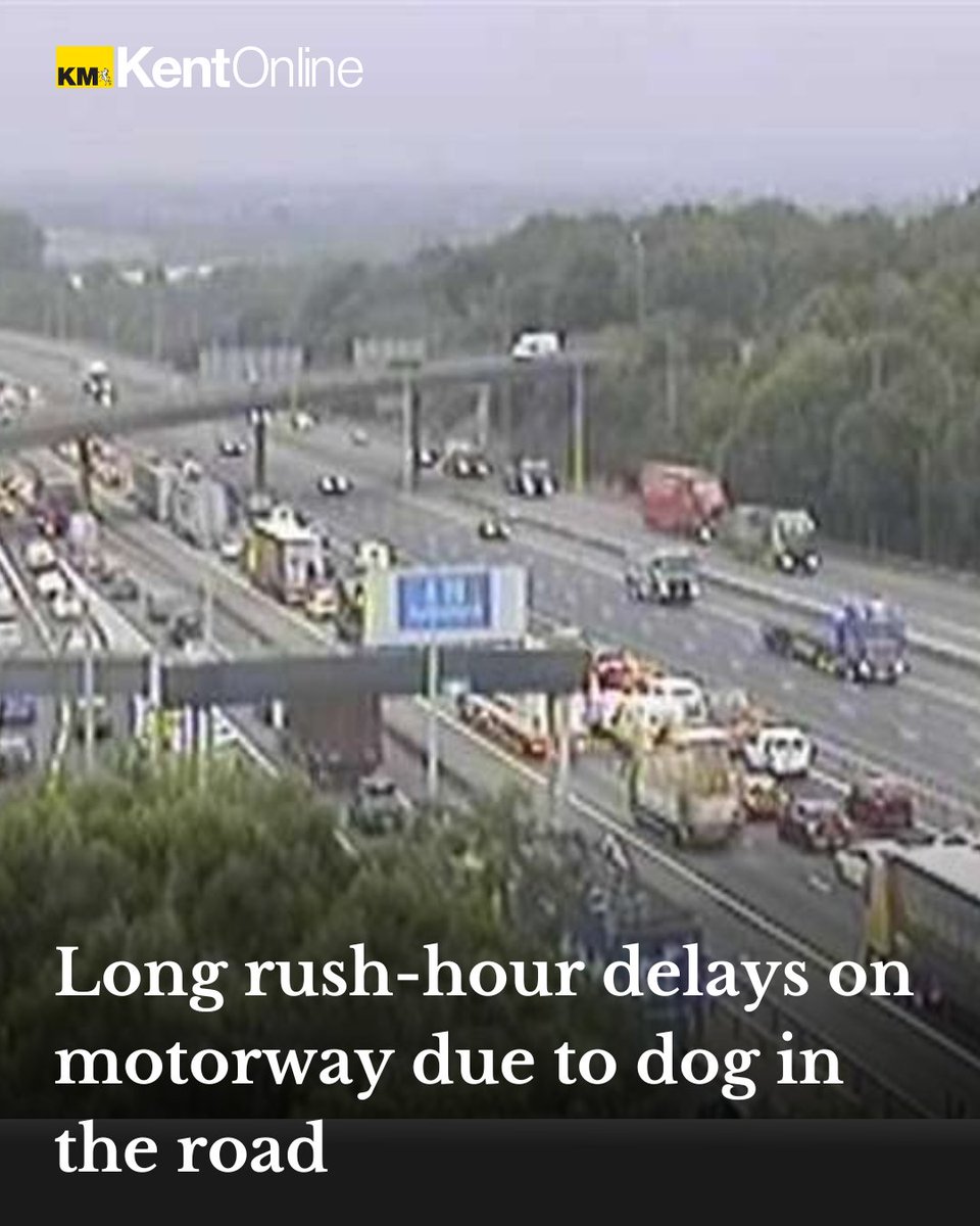 Who knew a dog could cause so much chaos?! Luckily it's been caught by police and taken to safety. Full story: kentonline.co.uk/malling/news/l…