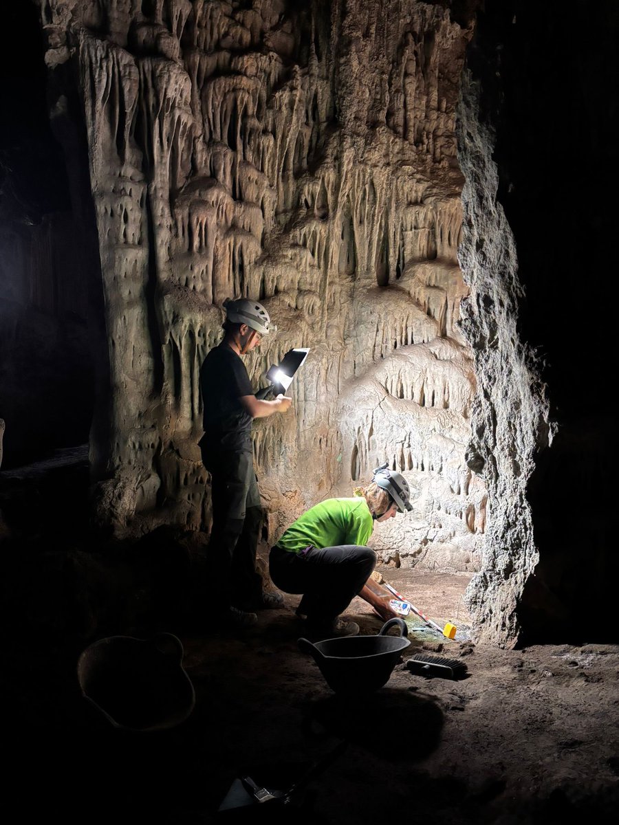 Museu de Prehistòria de València (@muprevalencia) on Twitter photo Recentment, finalitzava la 2a campanya d’excavació en #CuevaMerinel #Bugarra ⛏️ 🦇
Dirigida per Sonia Machause i Agustín Diez (<a href="/ArqueologiaUV/">Dpt. Prehistòria, Arqueologia i Història Antiga UV</a>), dins del programa anual d’excavacions del #Mupreva i el projecte #StalacRite @fundacionpalarq i amb el suport de <a href="/aytobugarra/">Ayuntamiento de Bugarra</a>
(1/3)👇 Recentment, finalitzava la 2a campanya d’excavació en #CuevaMerinel #Bugarra ⛏️ 🦇
Dirigida per Sonia Machause i Agustín Diez (<a href="/ArqueologiaUV/">Dpt. Prehistòria, Arqueologia i Història Antiga UV</a>), dins del programa anual d’excavacions del #Mupreva i el projecte #StalacRite @fundacionpalarq i amb el suport de <a href="/aytobugarra/">Ayuntamiento de Bugarra</a>
(1/3)👇