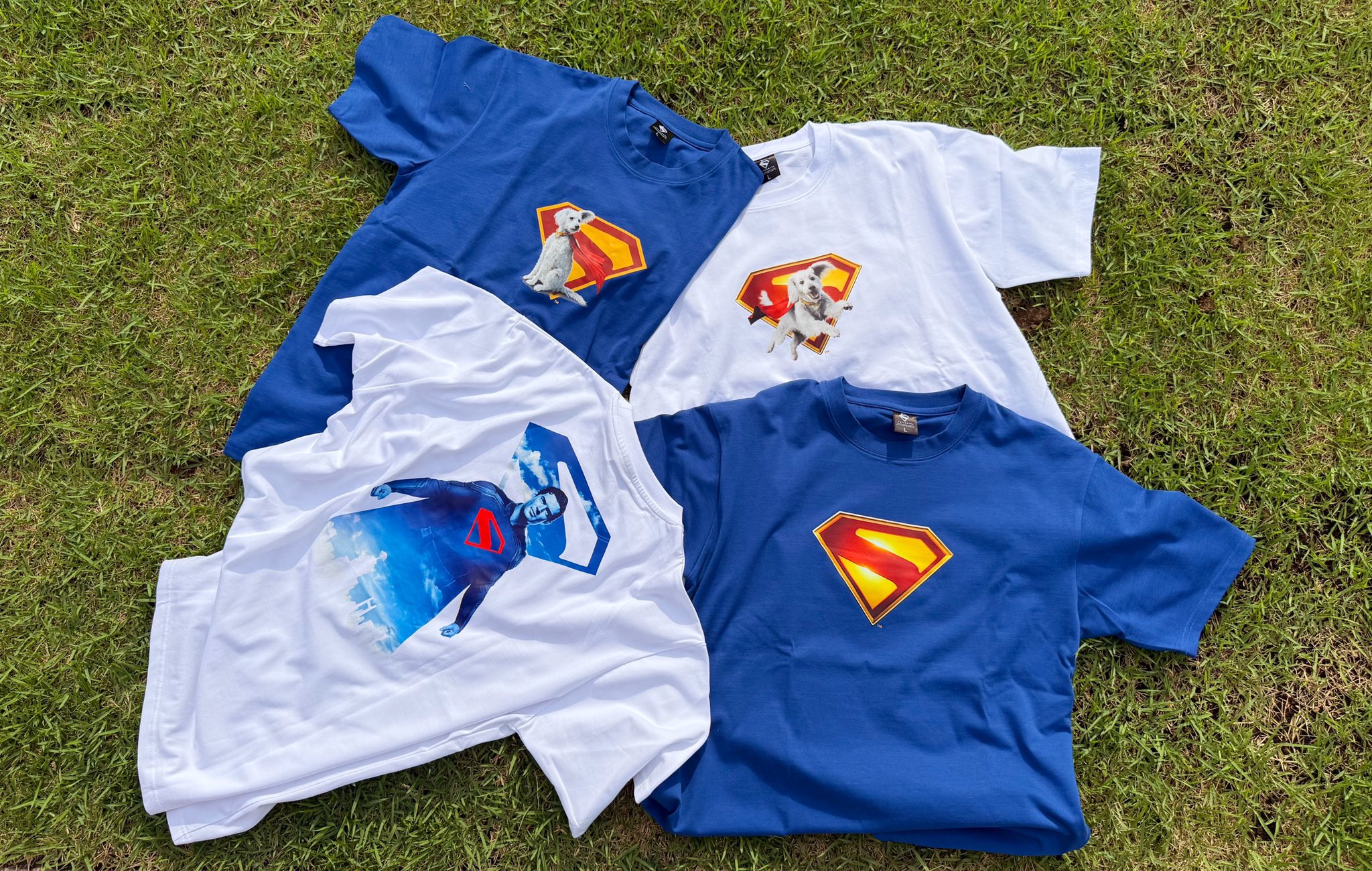 【新品未開封】映画 スーパーマン　劇場 Tシャツ　Lサイズ　クリプト 61Q6Cb71G6L.jpg