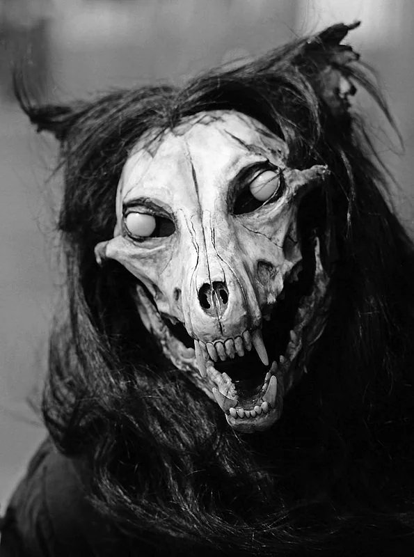 bowler🔶bnb tweet media