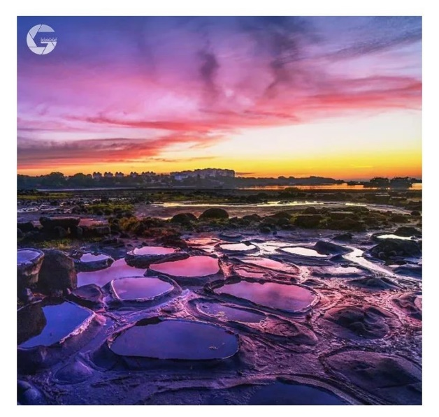 海南自由貿易港 tweet media