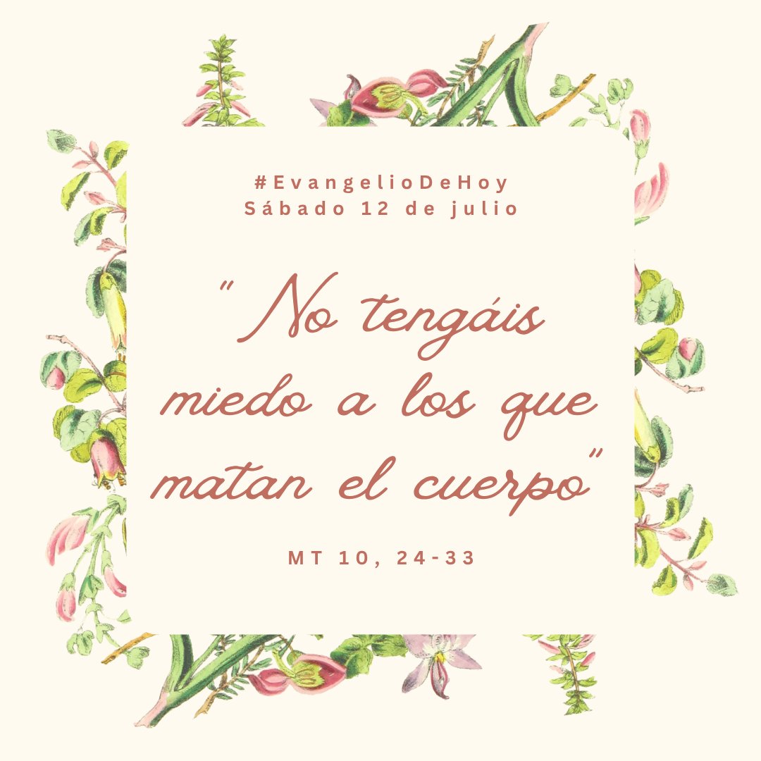 #EvangelioDeHoy. SÁBADO, 12 DE JULIO. - Mt 10, 24-33. No tengáis miedo a los que matan el cuerpo.
