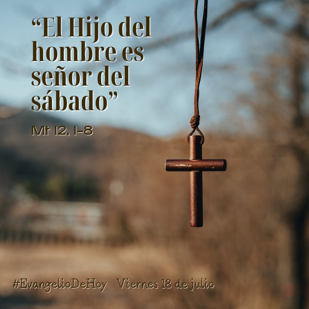 #EvangelioDeHoy. VIERNES, 18 DE JULIO. - Mt 12, 1-8. El Hijo del hombre es señor del sábado.