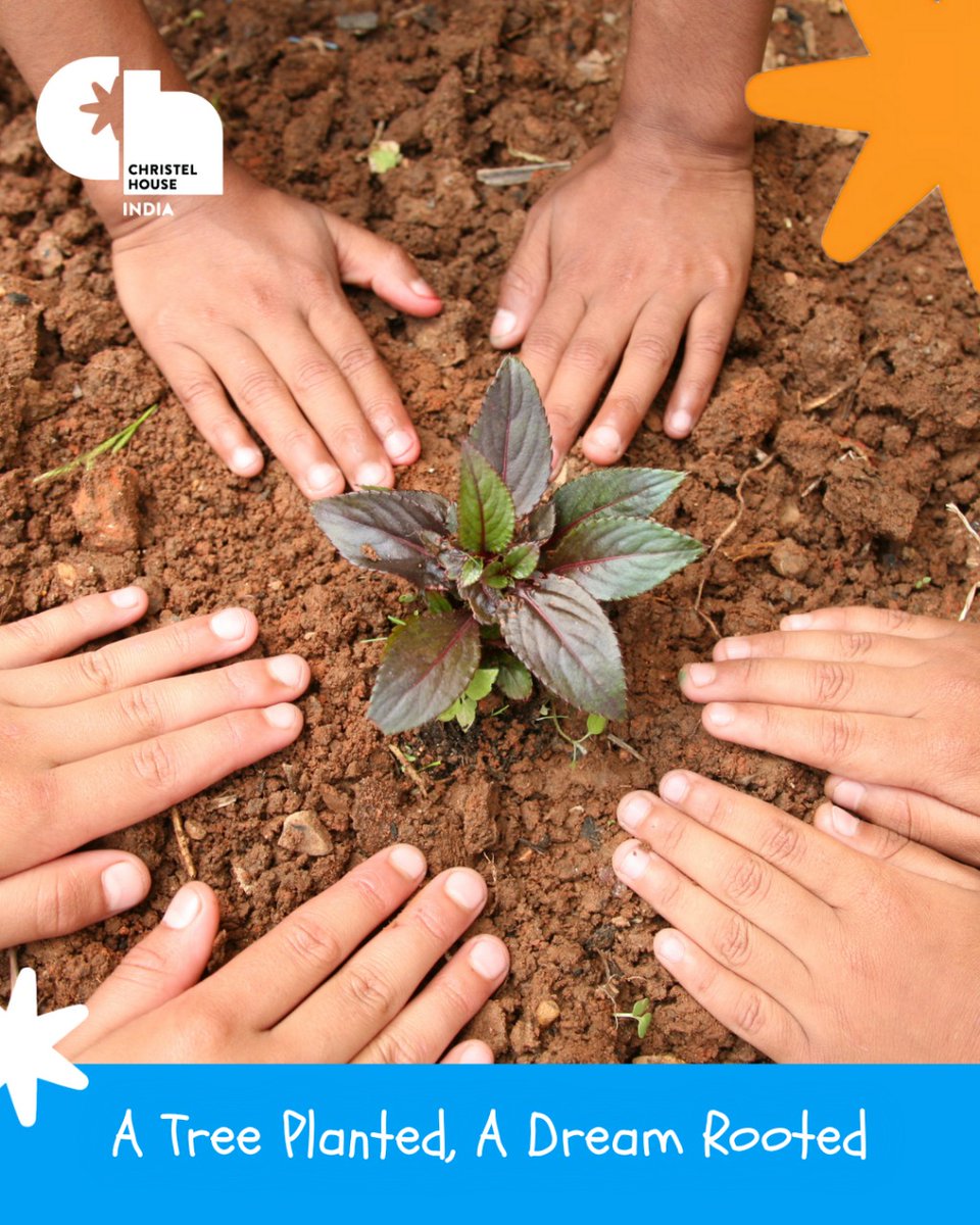 Rooted in action. Growing a better tomorrow. Christel House is turning green dreams into ground reality.

#ChristelHouseIndia #FromClassroomstoLife #ChangingLifeOutcomes #VanMahotsav #MotherEarth  #BetterFuture #PlantingHope
