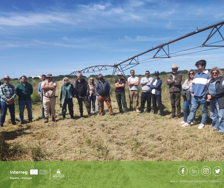 sosprodehesa's tweet image. Más de 40 ganaderos de 🇪🇸 y 🇵🇹 participaron en la II Jornada @sosprodehesa en la finca Defensinhas (Elvas).
🌱 Manejo Holístico, gramíneas perennes y regeneración de la dehesa como respuesta a la sequía.
+info 👉 bbbfarming.net/es/882-ii-jorn…