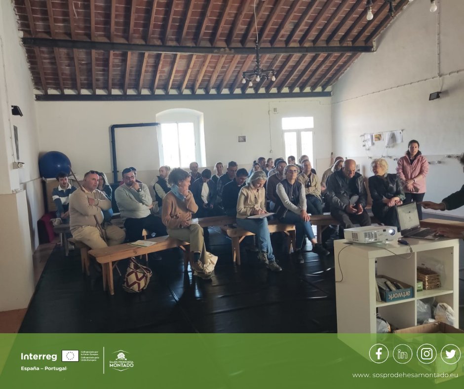 sosprodehesa's tweet image. Más de 40 ganaderos de 🇪🇸 y 🇵🇹 participaron en la II Jornada @sosprodehesa en la finca Defensinhas (Elvas).
🌱 Manejo Holístico, gramíneas perennes y regeneración de la dehesa como respuesta a la sequía.
+info 👉 bbbfarming.net/es/882-ii-jorn…