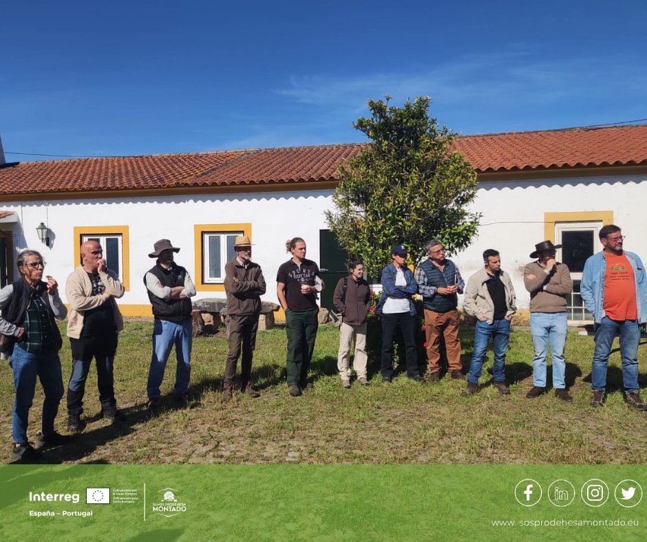 sosprodehesa's tweet image. Más de 40 ganaderos de 🇪🇸 y 🇵🇹 participaron en la II Jornada @sosprodehesa en la finca Defensinhas (Elvas).
🌱 Manejo Holístico, gramíneas perennes y regeneración de la dehesa como respuesta a la sequía.
+info 👉 bbbfarming.net/es/882-ii-jorn…