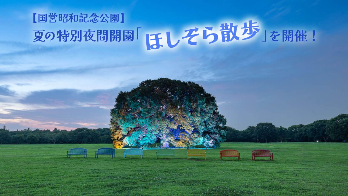 imatama01's tweet image. 【🎪イマタマ掲載イベントを紹介🎪】

＼夏の夜をゆったり満喫🌌／
昭和記念公園「ほしぞら散歩」が8/9～11に開催決定✨
ヒマワリ畑＆ケヤキ並木のライトアップや、手持ち花火（持参OK）など、夜ならではの特別体験が楽しめます！

詳細はこちら👇
imatama.jp/article/news/s…

#立川市
#イマタマ