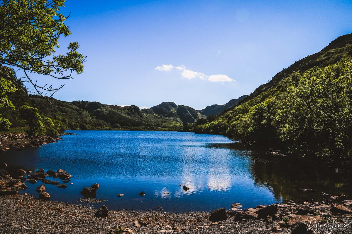 Shoot from the Trip tweet media