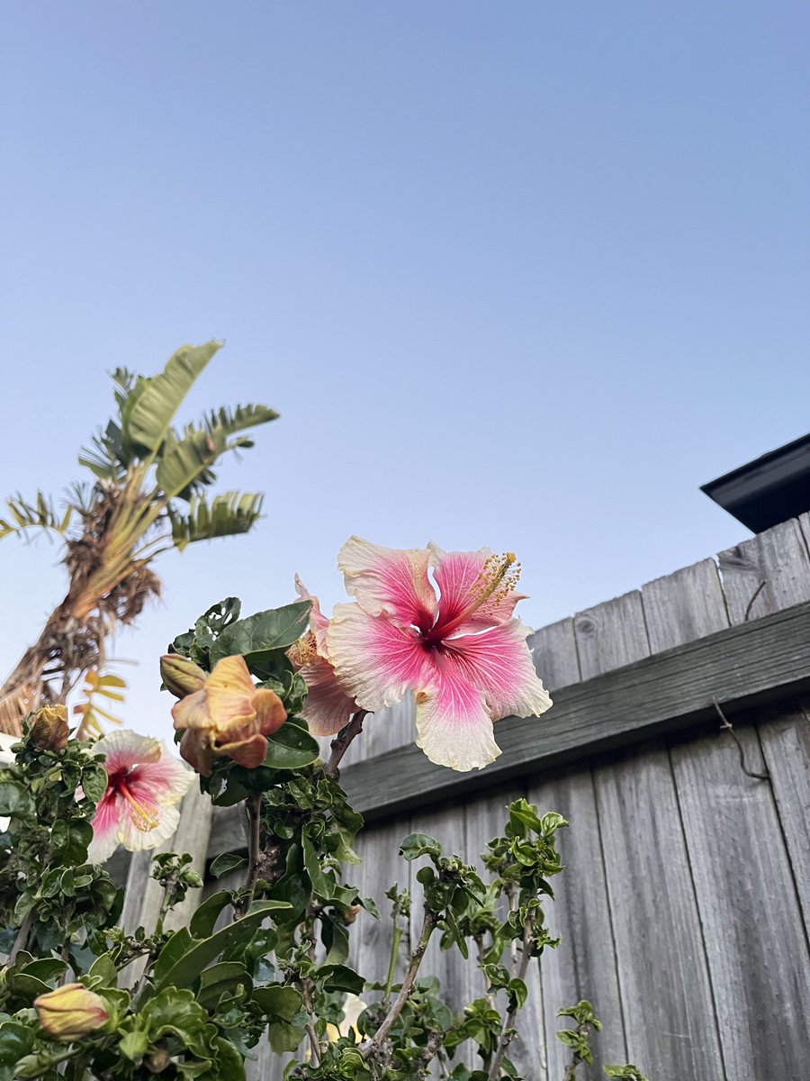 ghost . . (@sulky80715248) on Twitter photo 