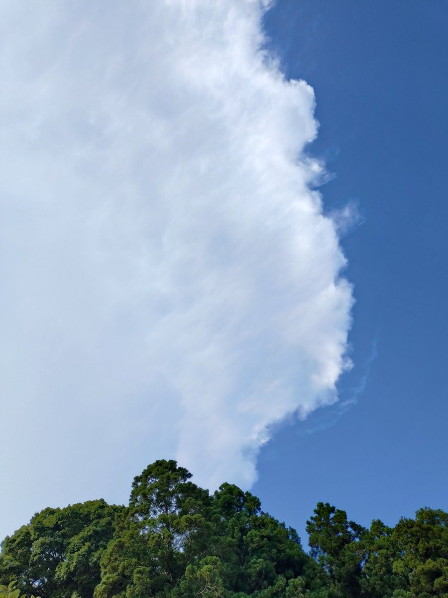 Mahinatan's tweet photo. 雷がゴロゴロ鳴ってますが🌩️納車が近いので車内の大掃除中🚗
風が吹いて少し涼しいな〜って麦茶を飲んでたら　久しぶりにシオカラトンボを発見！
ほっこりするわぁ〜🥤 https://t.co/uRbc5n9m5a