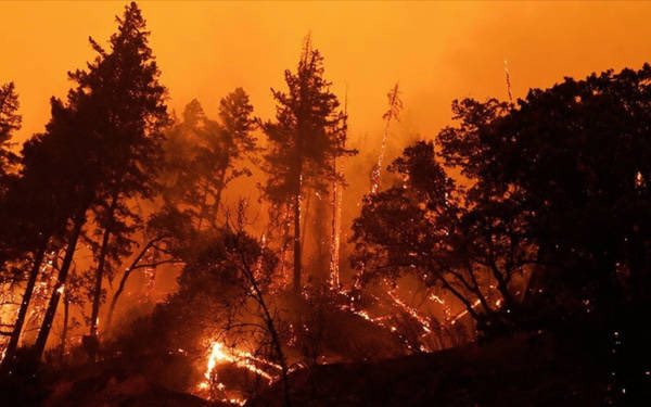 Önce yıkıldık sonra yandık
yardım istendi geç kalındı ya da hiç gelinmedi yalnızca bir şehir değil üstü toz altı küllerle kaplı bir sessizlik 
canlar öldü hafızalar kaldı
diyor ya Ceylani KARADUMAN

Ne can kaldı ne canan
Sanki olduk bir ziyan
Bu şarkıymış bana kalan hatıra
#Hatay