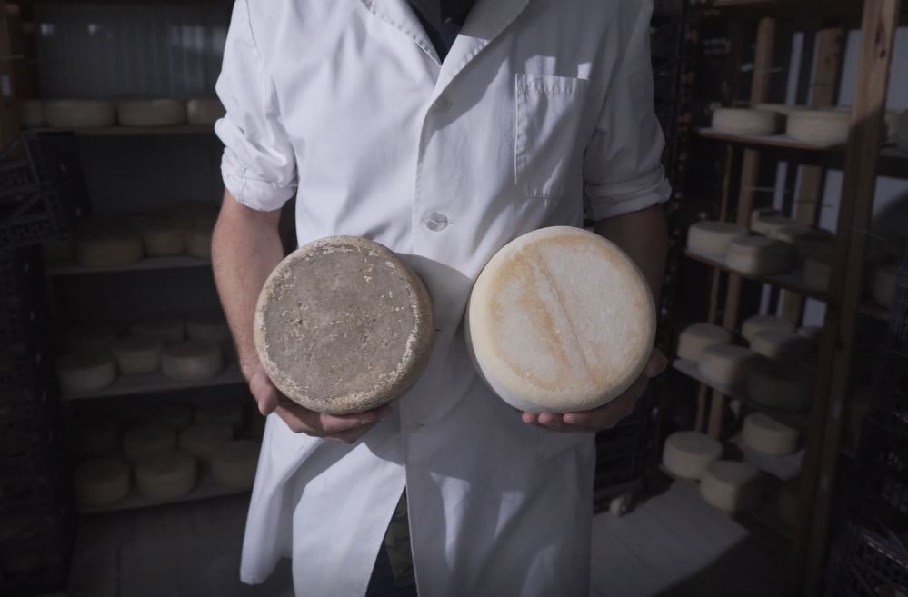 TerresdeMestral's tweet photo. Quina sort tenen els ratolinets de les #TerresDeMestral amb aquests formatges 😋
I vosaltres, sou de #formatge tendre o curat? 🐐😍
Foto: #AtticLabVisuals
#ProducteLocal
#ProducteDeProximitat
#ProducteDeQualitat
#DelCampATaula
#ComerçLocal
#natura
#airelliure
#sensacions https://t.co/eQuIBYXjqh