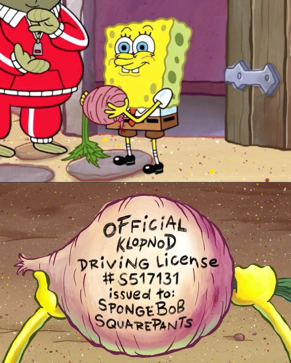 Halfway through the year and even SpongeBob got his license 🧽🚗… What’s your excuse? 👀💅