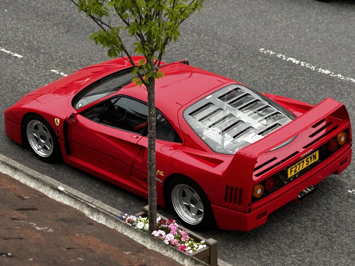 Wondered what the racket was outside my bedroom window this morning…..

#f40