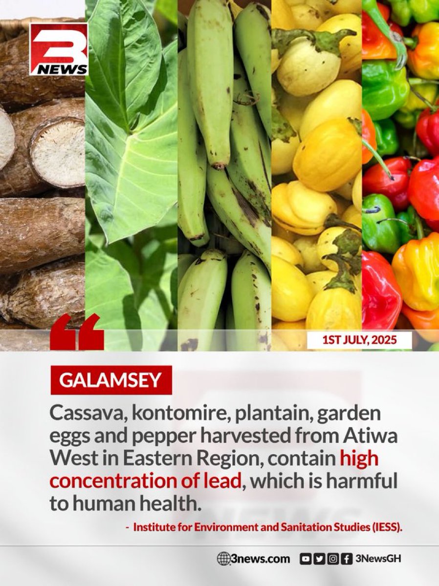 When I said galamsey knows no party colours—this is exactly what I meant!

But no, it’s still just political football. People’s outrage shifts with their allegiance, not the issue.

Next time you’re enjoying food, ask yourself: is it NDC kontomire? NPP Garden Eggs? CPP Cassava?