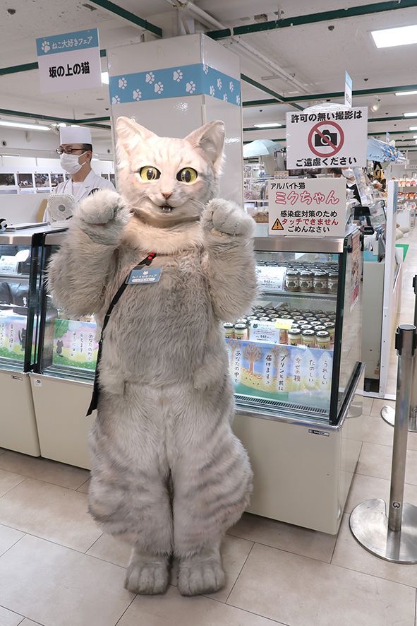 TokyoPride2025限定 招き猫 白 【会場限定販売】 – TOKYO