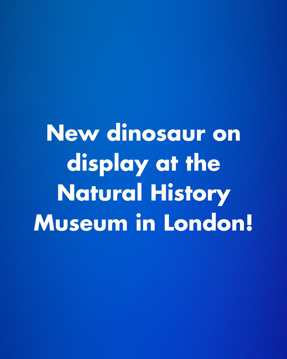 🦕 A Tiny Giant Joins the NHM Halls

Meet Enigmacursor - the labrador-sized fossil that ran beneath the feet of giants and proves there’s still more to discover from old bones. ow.ly/BI6n50WgG0z

#Enigmacursor #DinosaurDiscovery #Paleontology #NHMLondon